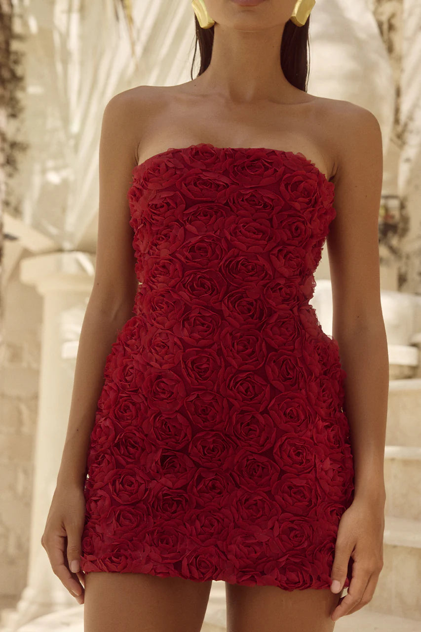 RUNAWAY THE LABEL ROSALINE MINI DRESS - CHERRY