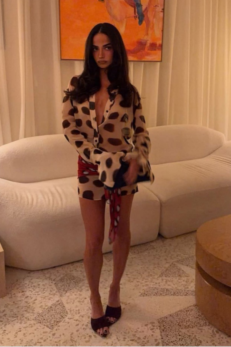 Leopard Chiffon Sheer Shirt Mini Dress