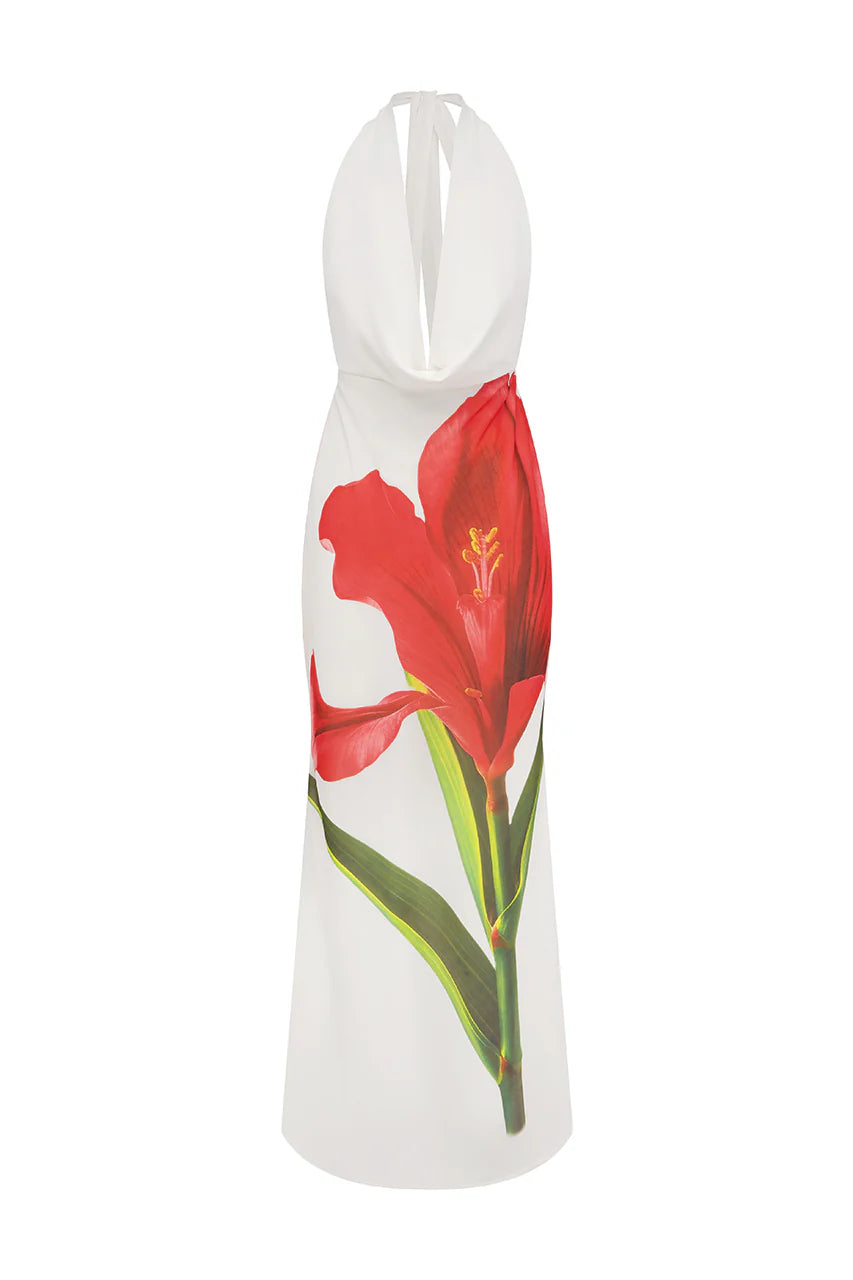 RUNAWAY THE LABEL JASMINA MAXI DRESS - RED LILY