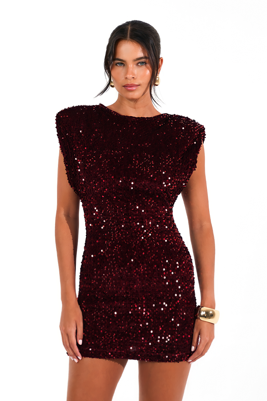 Burgundy Sequin Mini Dress