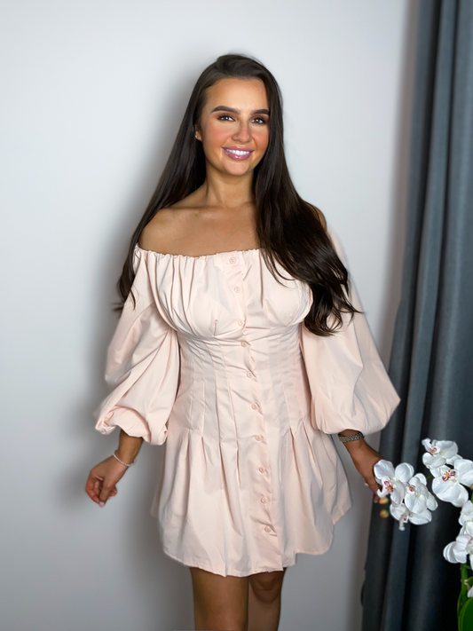 Pastel Pink Off The Shoulder Lantern Sleeve Corset Ruched Skater Mini Dress